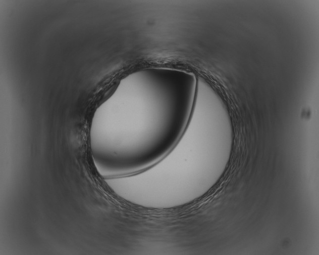 X0000091711349200708240947