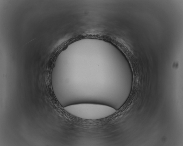 X0000091711350200708240947