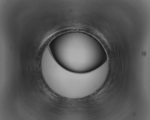 X0000091711352200708240947
