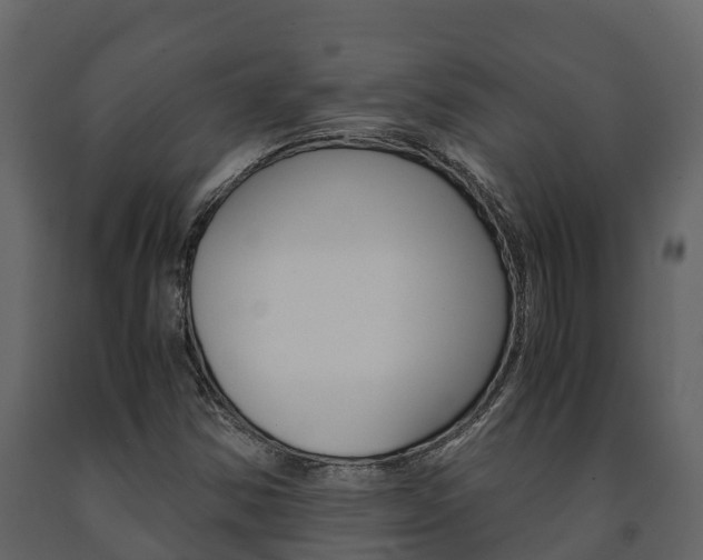 X0000091711354200708240947