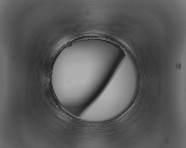 X0000091711355200708240947