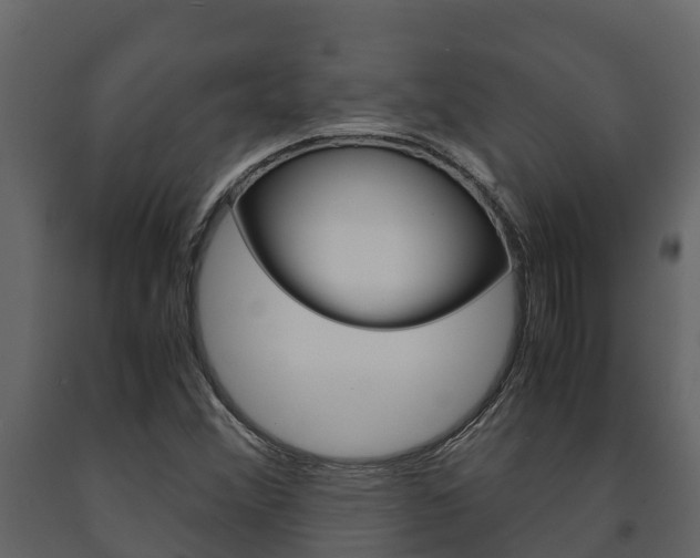 X0000091711356200708240947
