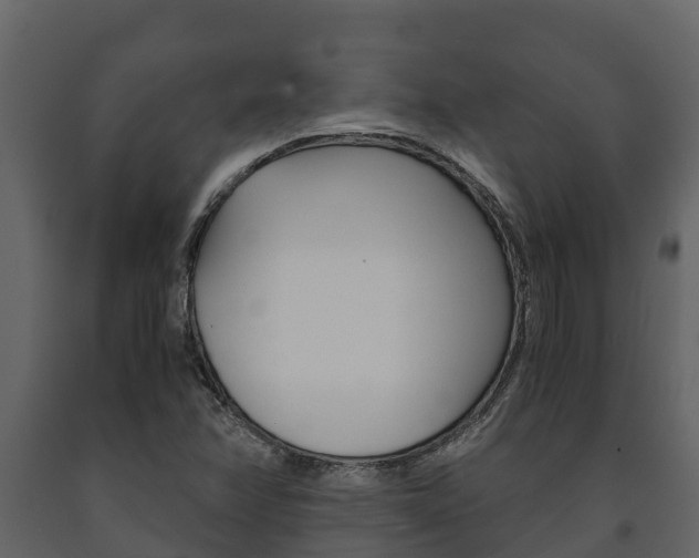 X0000091711358200708240947