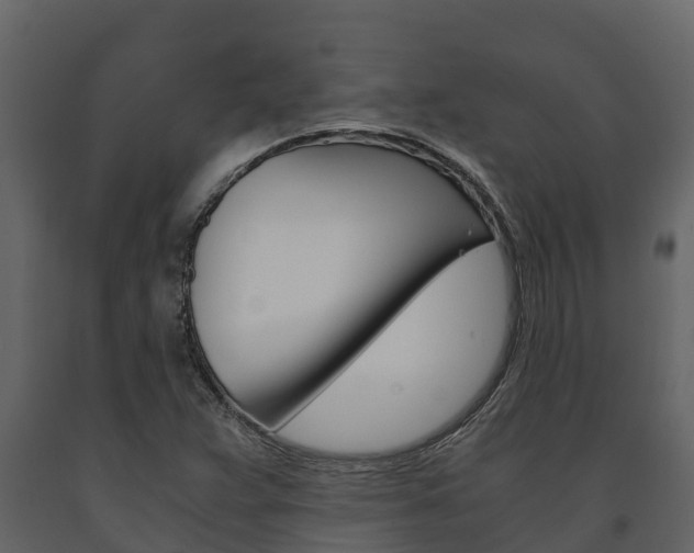 X0000091711359200708240947