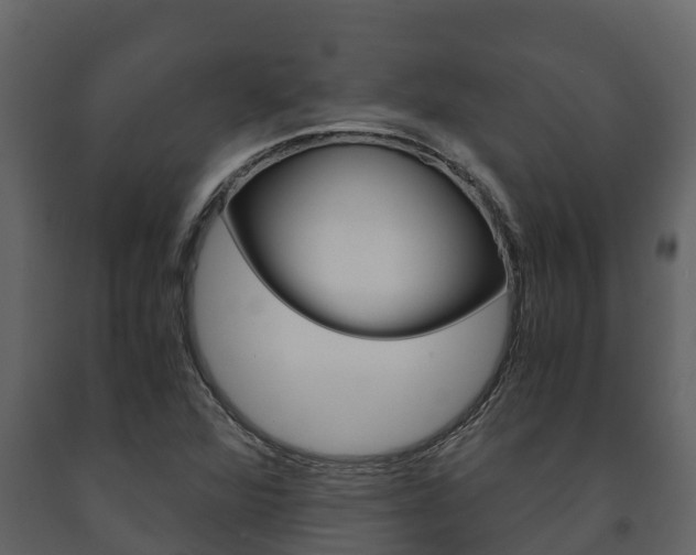X0000091711360200708240947