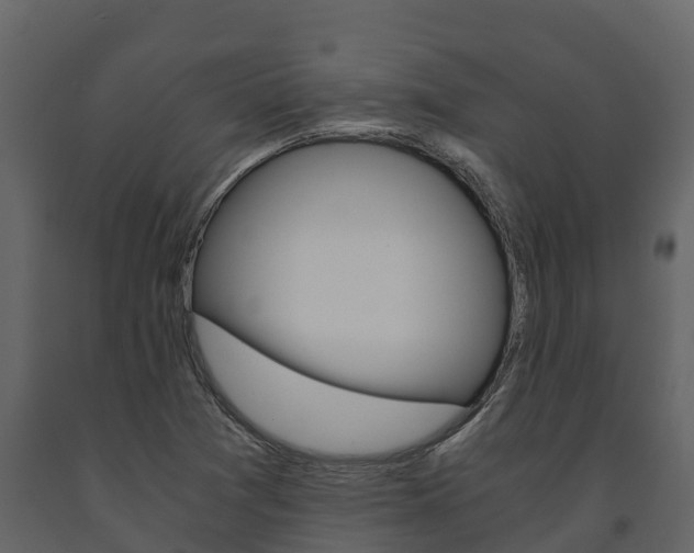 X0000091711361200708240947