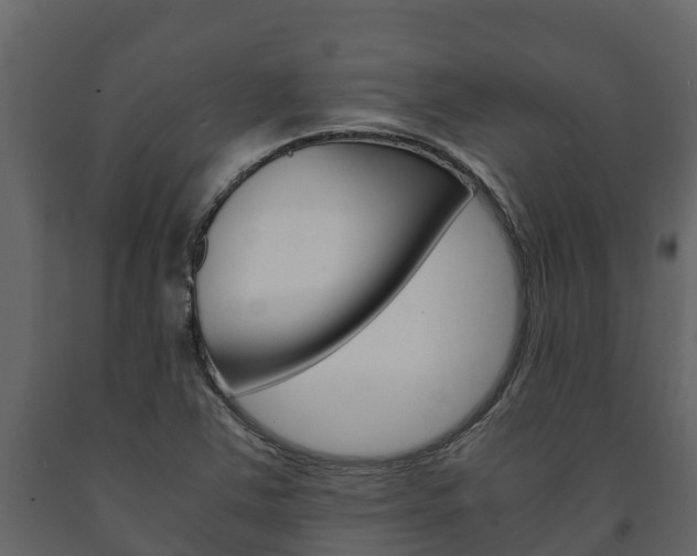 X0000091711363200708240947
