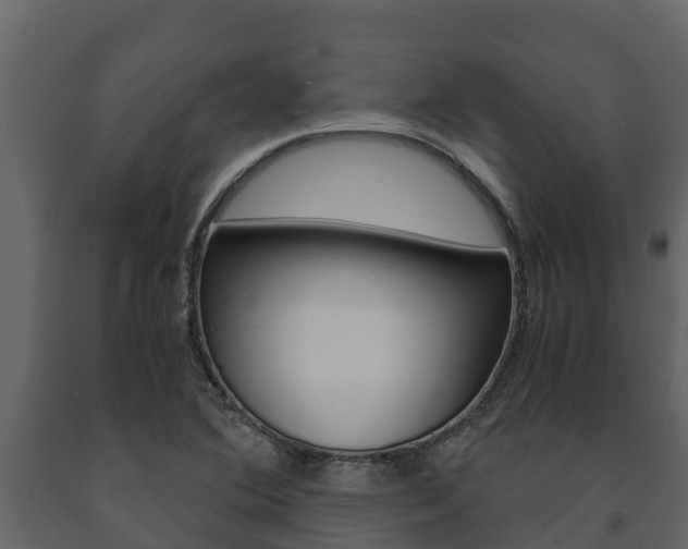 X0000091711364200708240947