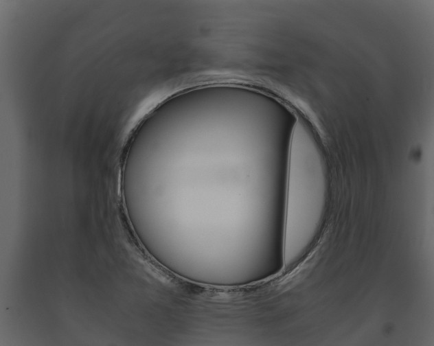 X0000091711365200708240947