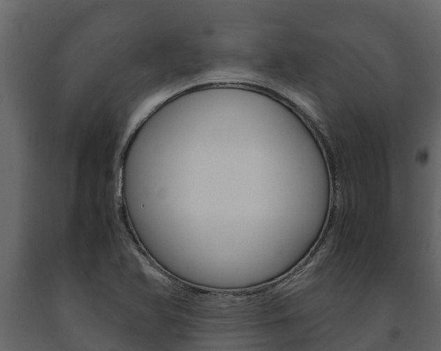 X0000091711366200708240947