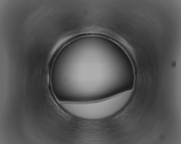 X0000091711368200708240947
