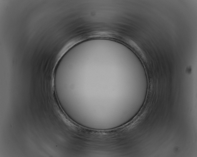 X0000091711370200708240947
