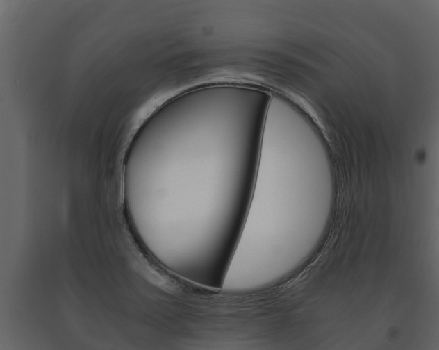 X0000091711371200708240947