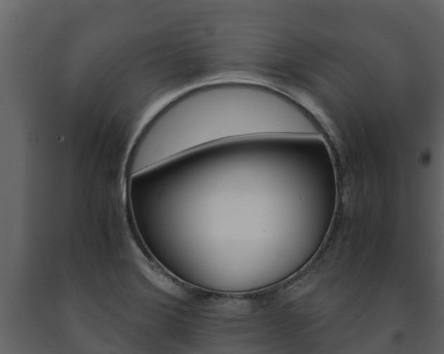 X0000091711372200708240947