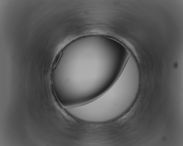 X0000091711373200708240947