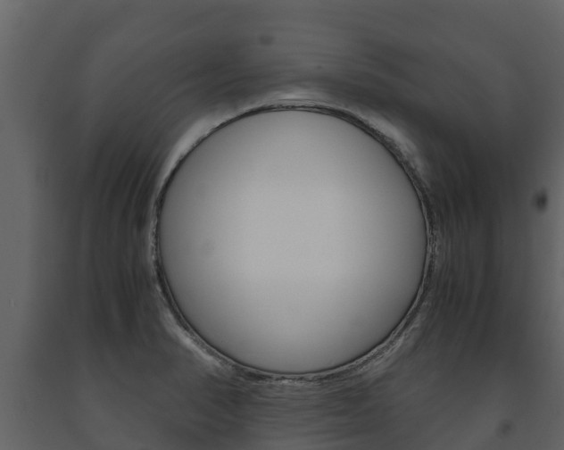 X0000091711374200708240947