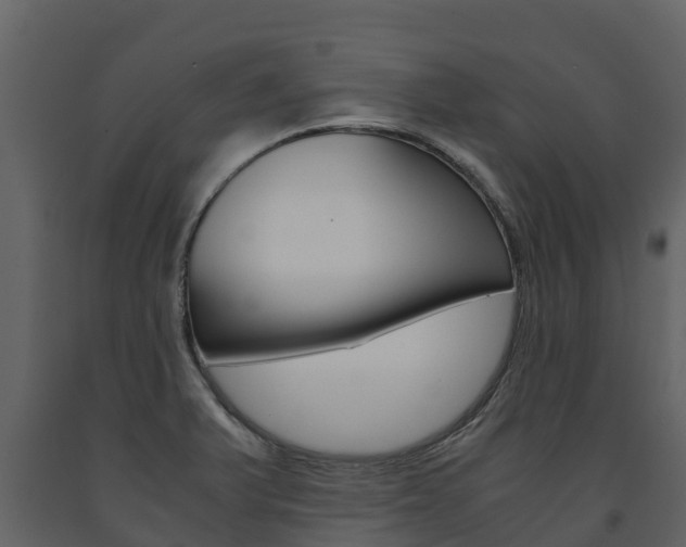 X0000091711375200708240947