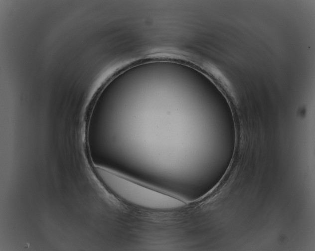X0000091711376200708240947