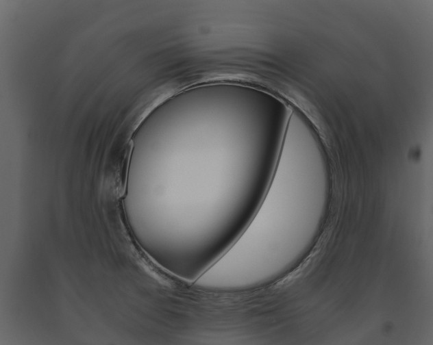 X0000091711377200708240947