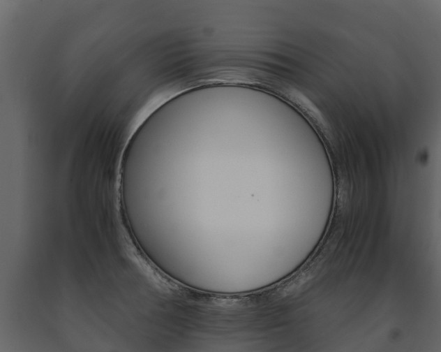 X0000091711378200708240947