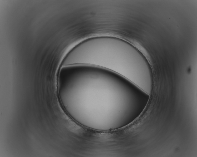 X0000091711380200708240947