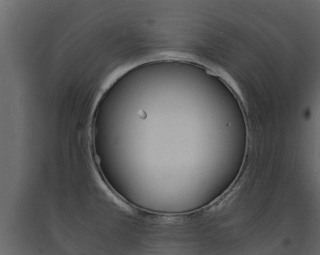 X0000091711381200708240947