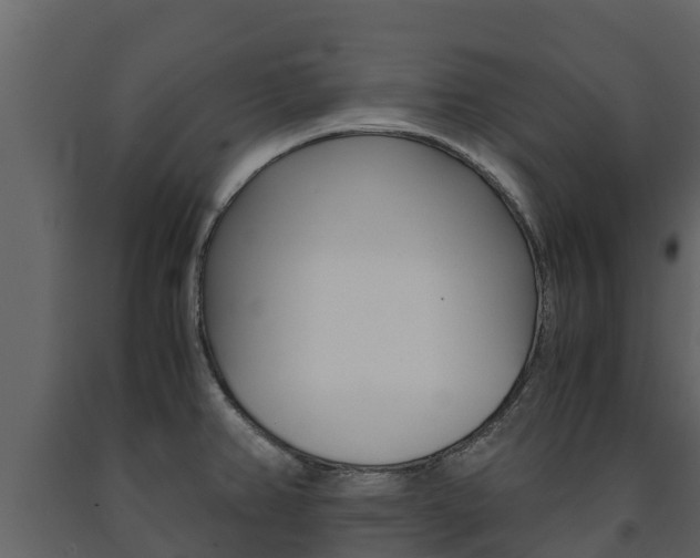 X0000091711382200708240947