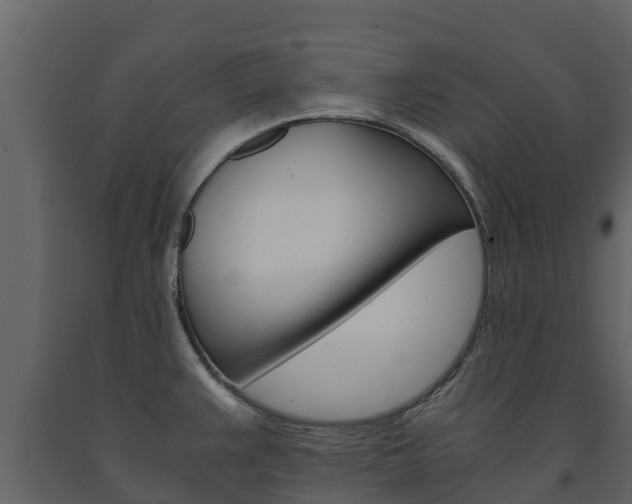 X0000091711383200708240947