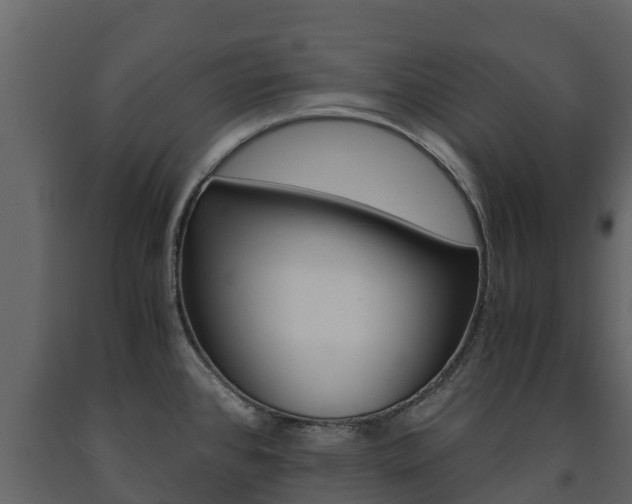 X0000091711384200708240947