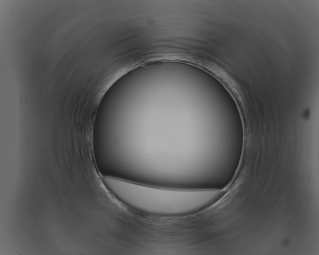 X0000091711385200708240947