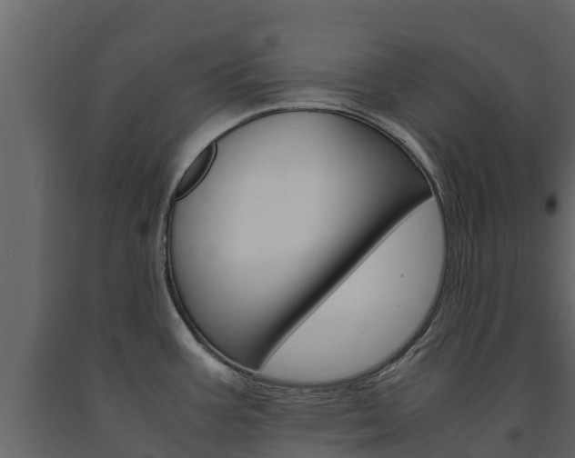 X0000091711387200708240947