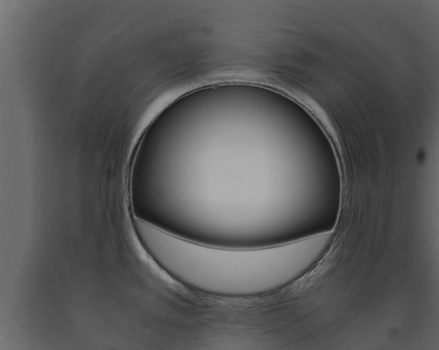 X0000091711389200708240947