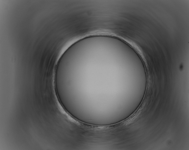 X0000091711390200708240947