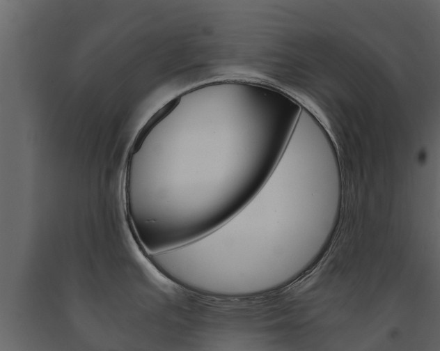X0000091711391200708240947