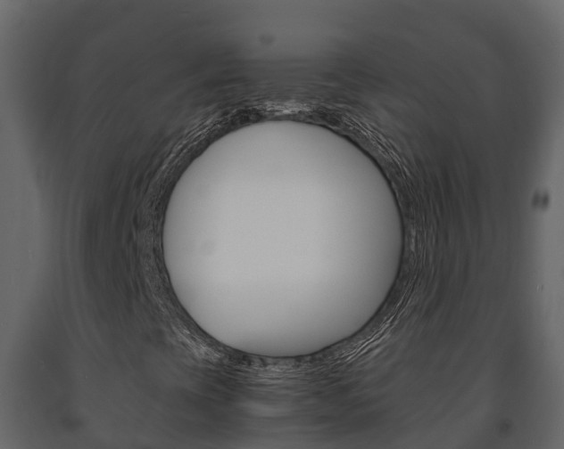 X0000091711393200708240946