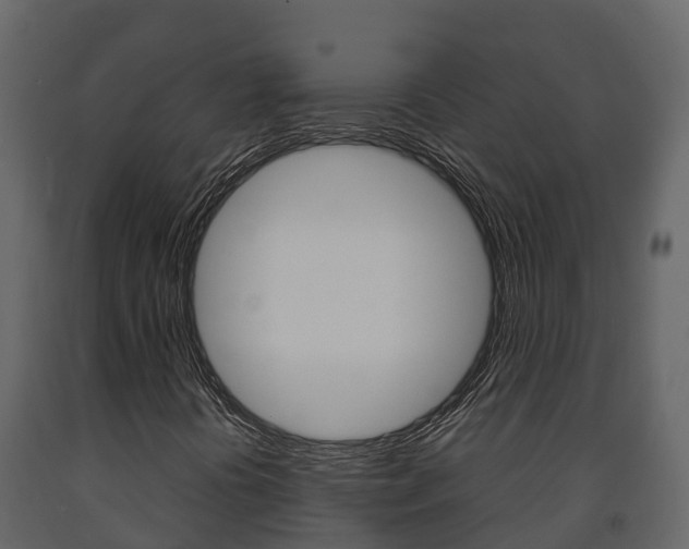 X0000091711394200708240946