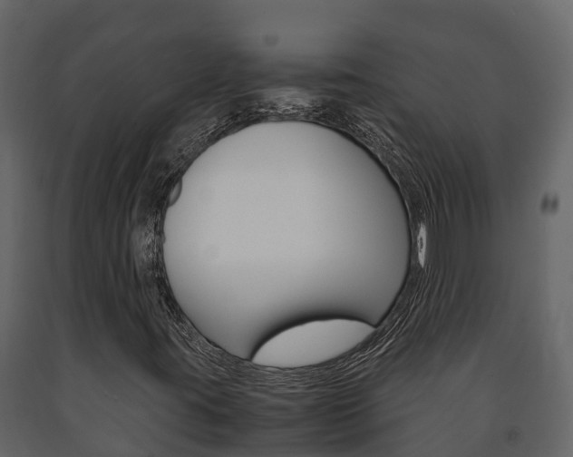 X0000091711395200708240946