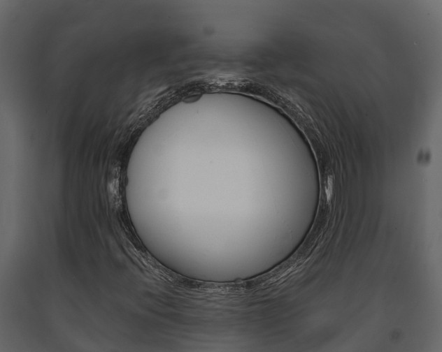 X0000091711396200708240946