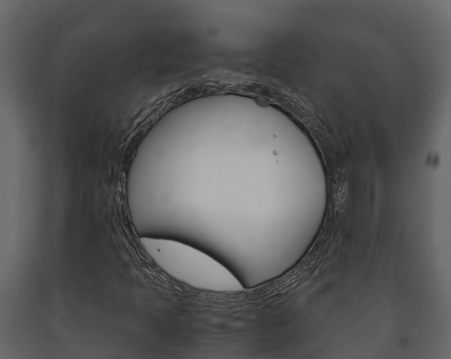 X0000091711397200708240946