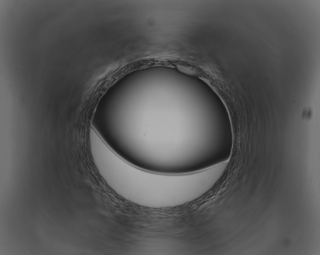 X0000091711398200708240946