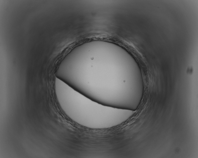 X0000091711399200708240946