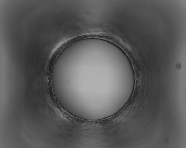 X0000091711400200708240946