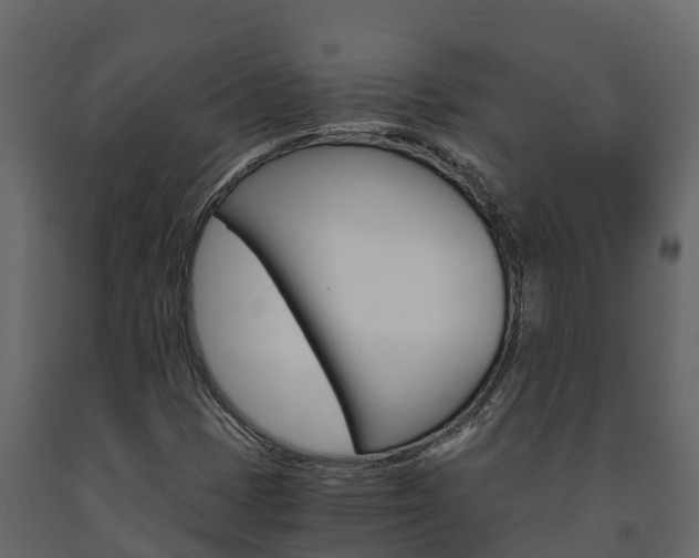 X0000091711401200708240946