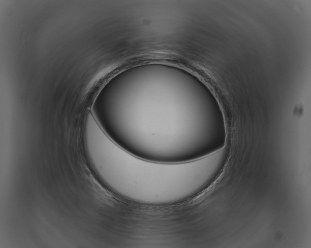 X0000091711402200708240946
