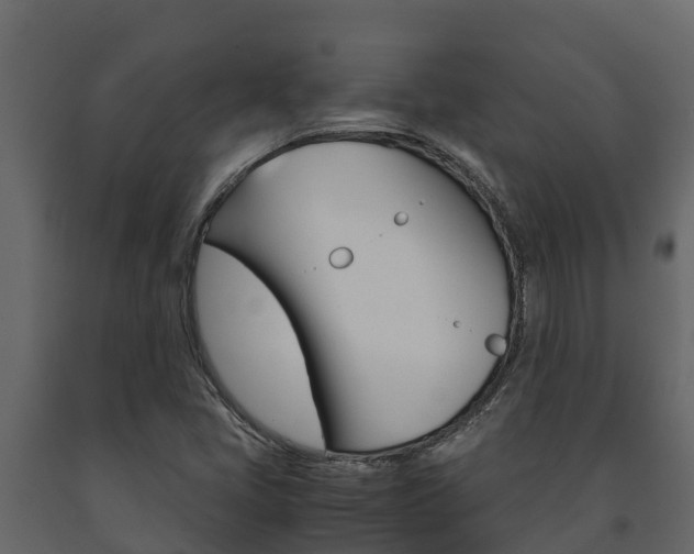 X0000091711405200708240946