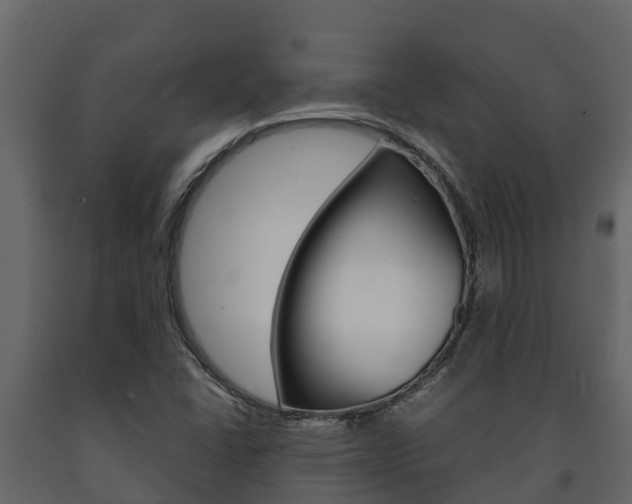 X0000091711406200708240946