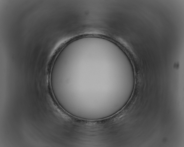 X0000091711408200708240946