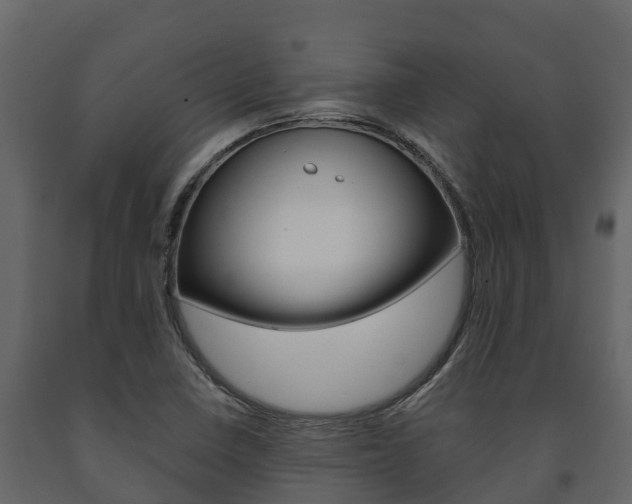 X0000091711410200708240946