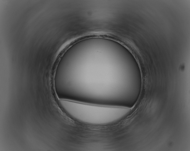 X0000091711412200708240946