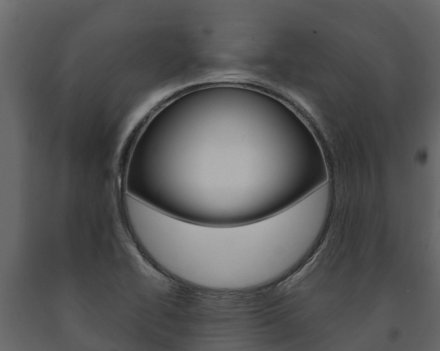 X0000091711414200708240946